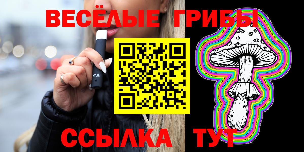 Псилоцибиновые грибы MAGIC MUSHROOMS  Вход с VPN  Выборг 